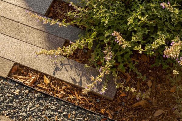 Gable-House-RIOS-Home-Residence-Michael-Wells-window-landscape-architecture-detail-square