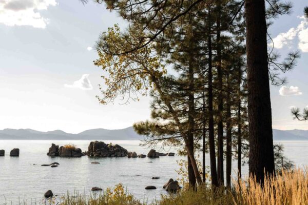 Lakeside-Retreat-RIOS-Home-Residential-Architects-lake-view-1920x2560